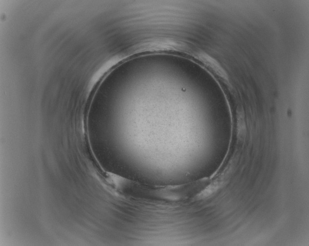 X0000076401226200610202122