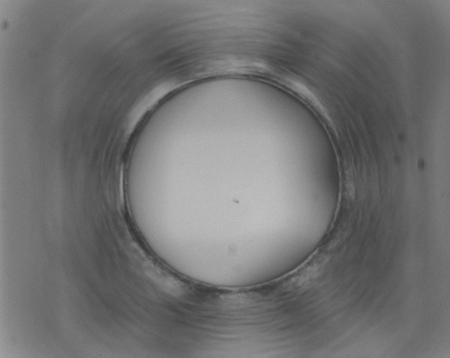 X0000076401227200610202122