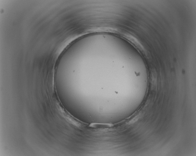 X0000076401228200610202122