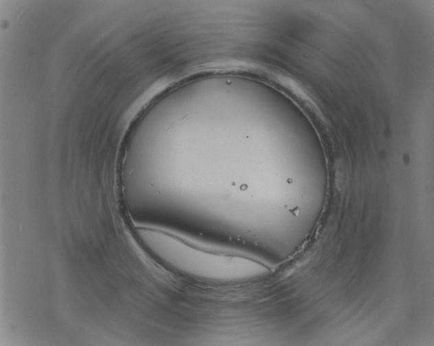 X0000076401229200610202122