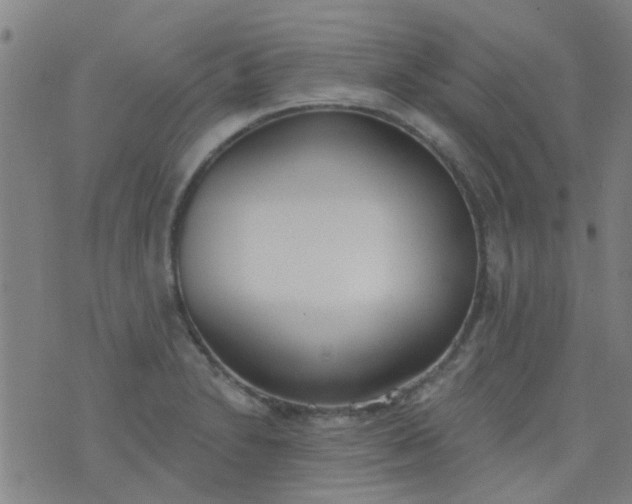 X0000076401230200610202122