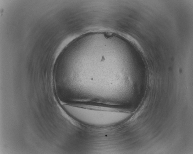 X0000076401231200610202122