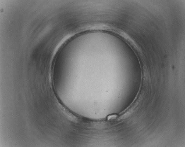 X0000076401232200610202122