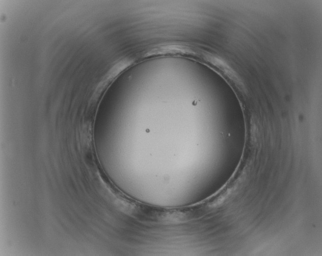 X0000076401233200610202122