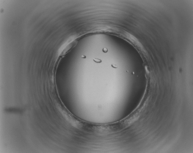 X0000076401234200610202122