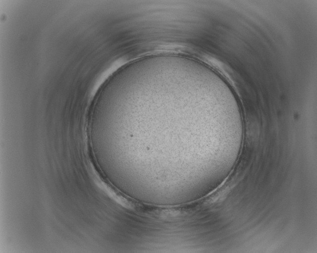 X0000076401235200610202122