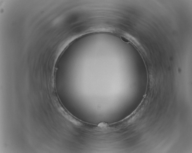 X0000076401236200610202122