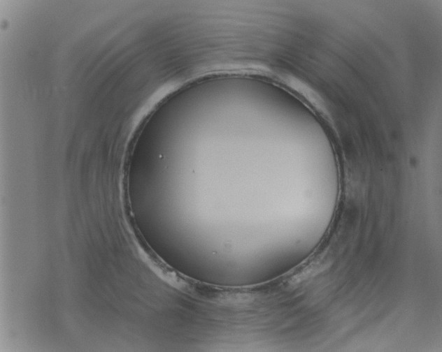 X0000076401237200610202122