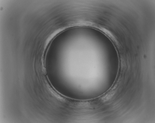 X0000076401238200610202122