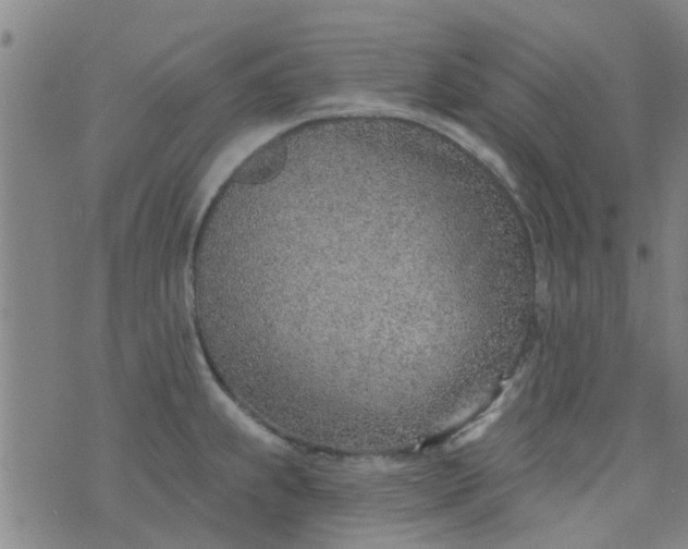 X0000076401239200610202122