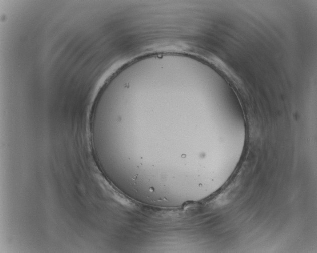 X0000076401240200610202122