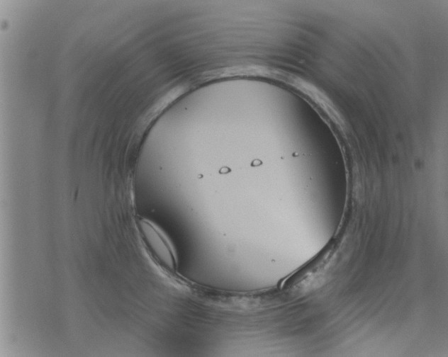 X0000076401241200610202122