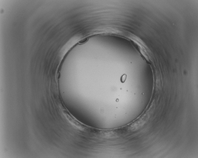 X0000076401242200610202122