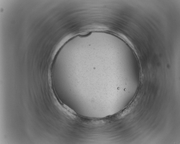 X0000076401243200610202122