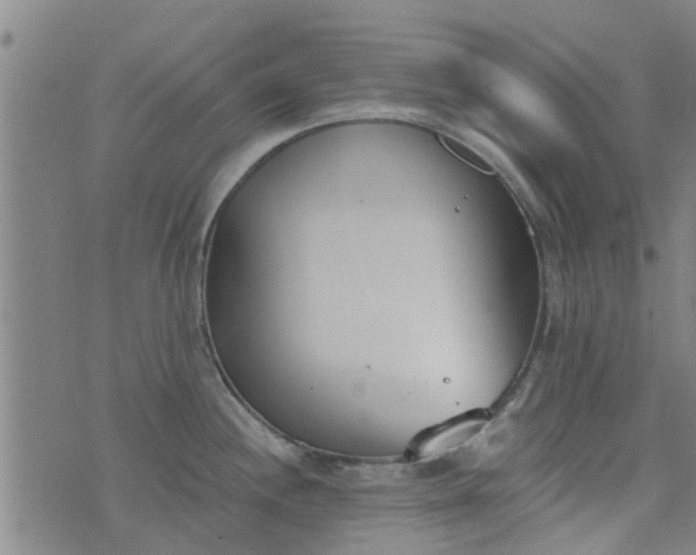 X0000076401244200610202122