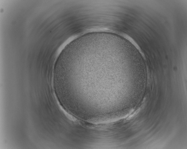 X0000076401245200610202122