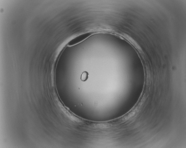 X0000076401246200610202122