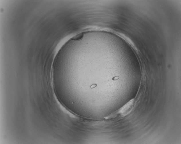 X0000076401247200610202122