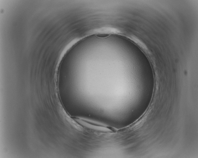 X0000076401248200610202122