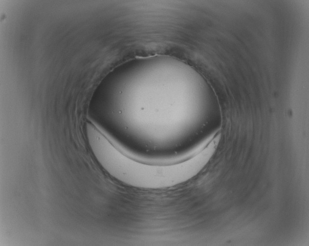 X0000076401249200610202121