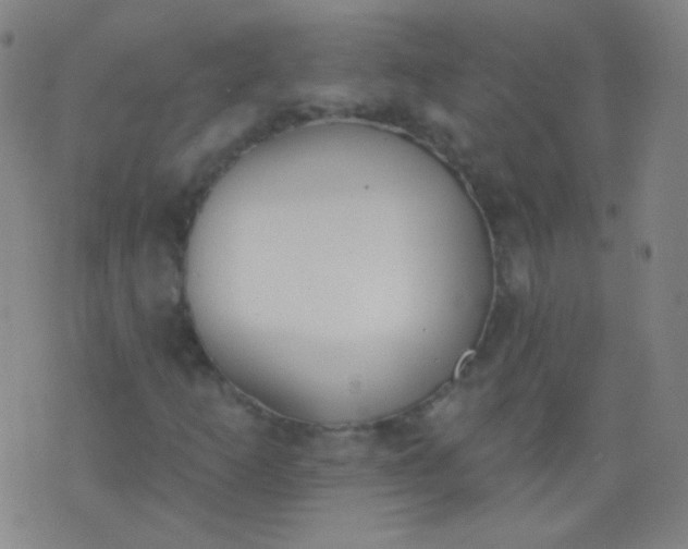 X0000076401253200610202121