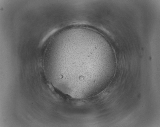 X0000076401255200610202121