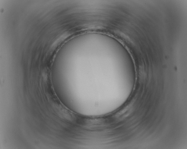 X0000076401257200610202121