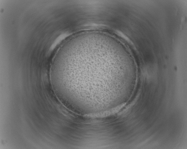 X0000076401259200610202121