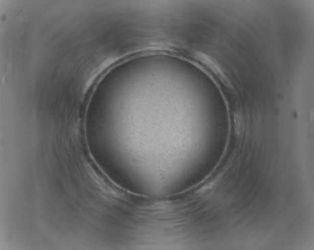 X0000076401260200610202121