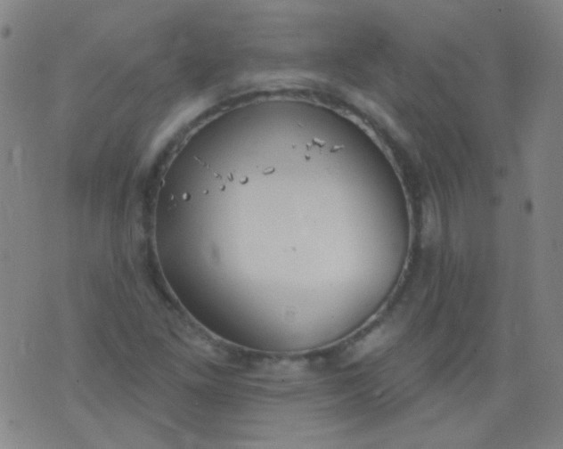 X0000076401261200610202121