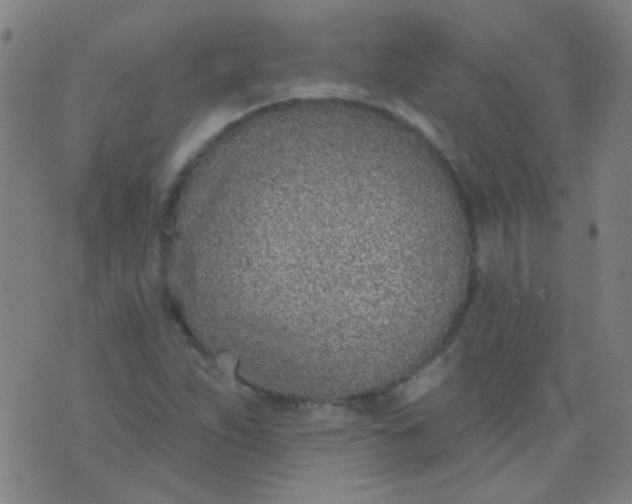 X0000076401263200610202121