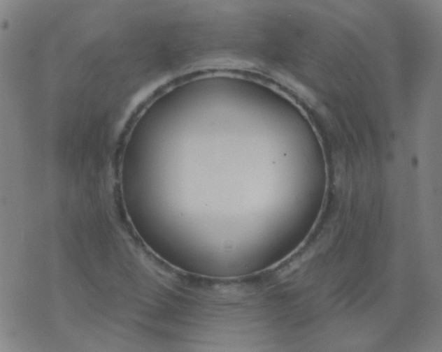 X0000076401264200610202121