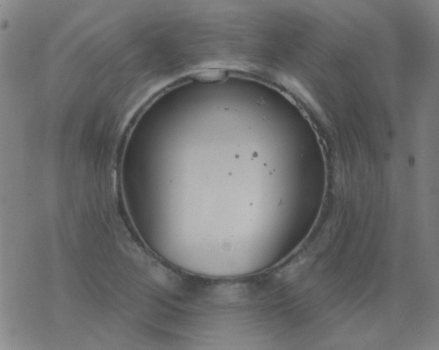 X0000076401268200610202121