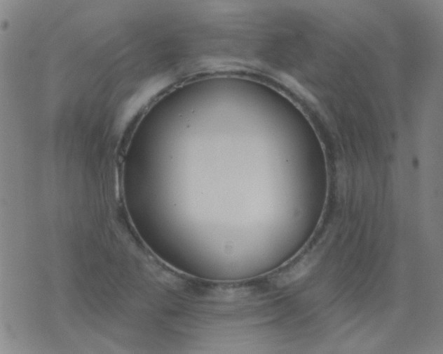 X0000076401269200610202121