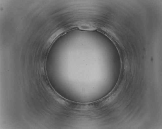 X0000076401273200610202121