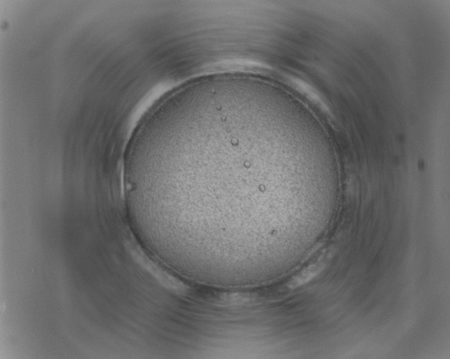 X0000076401275200610202121