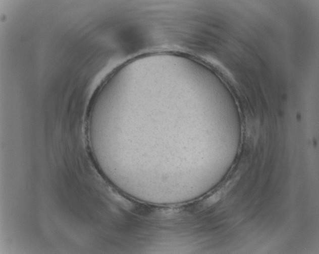 X0000076401278200610202121