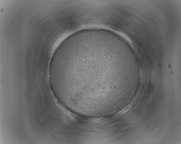 X0000076401279200610202121