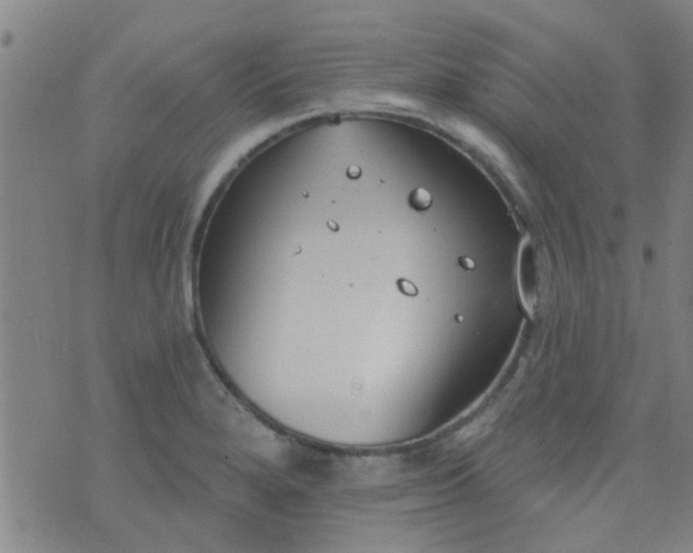 X0000076401280200610202121