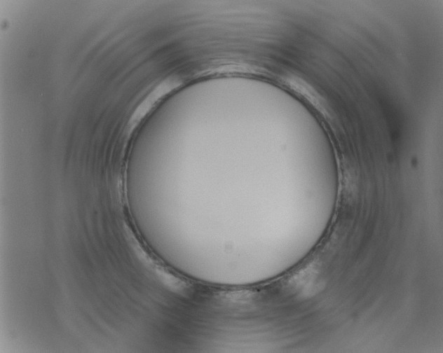 X0000076401282200610202121