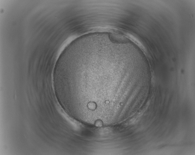 X0000076401283200610202121