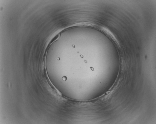 X0000076401284200610202121