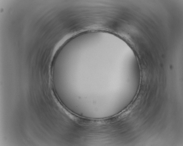 X0000076401286200610202121