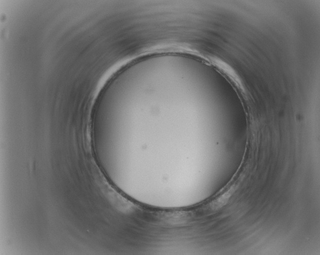 X0000076401288200610202121