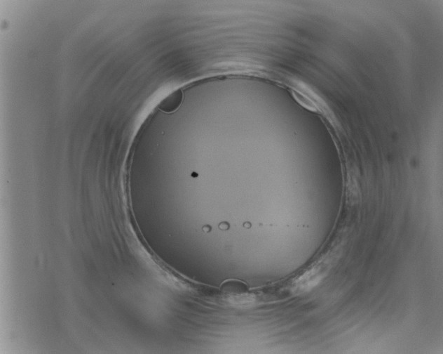 X0000076401291200610202121