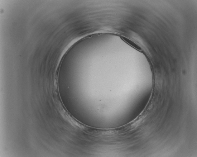 X0000076401292200610202120