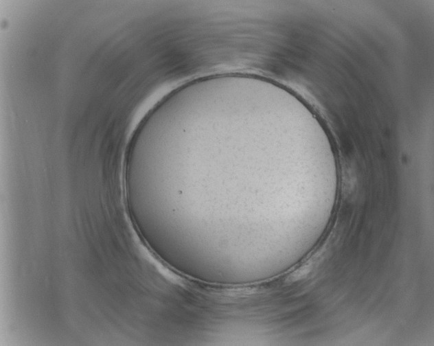 X0000076401294200610202120