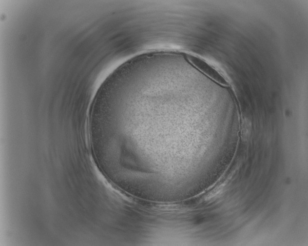 X0000076401295200610202120