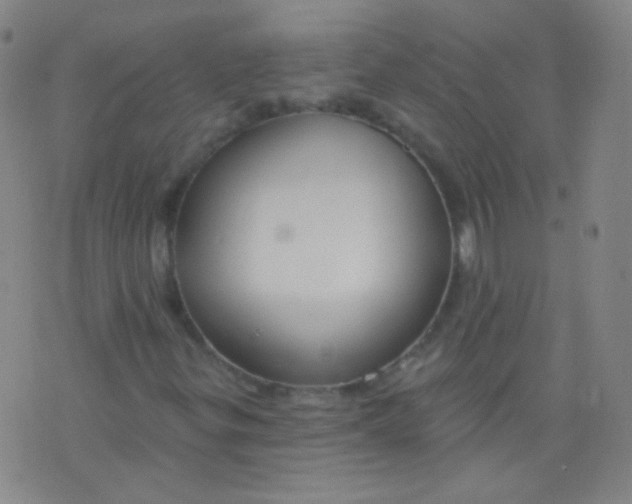 X0000076401299200610202120