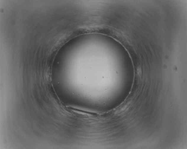 X0000076401300200610202120